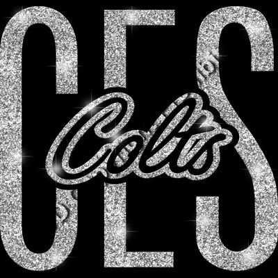 GLT95 SILVER GLITTER Thumbnail