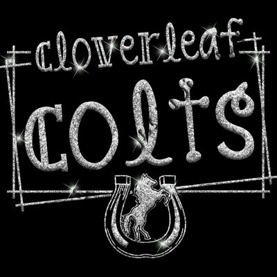 GLT90 SILVER GLITTER Thumbnail